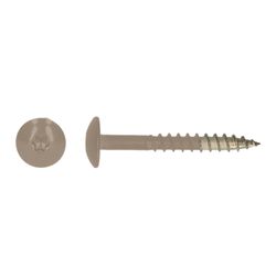 ET. SCHROEF 4.8X38MM 03 KLEI (RAL 1019) 100ST/DS